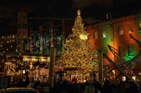 dior christmas tree|distillery district toronto christmas lights.